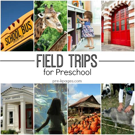fun field trips for kids.